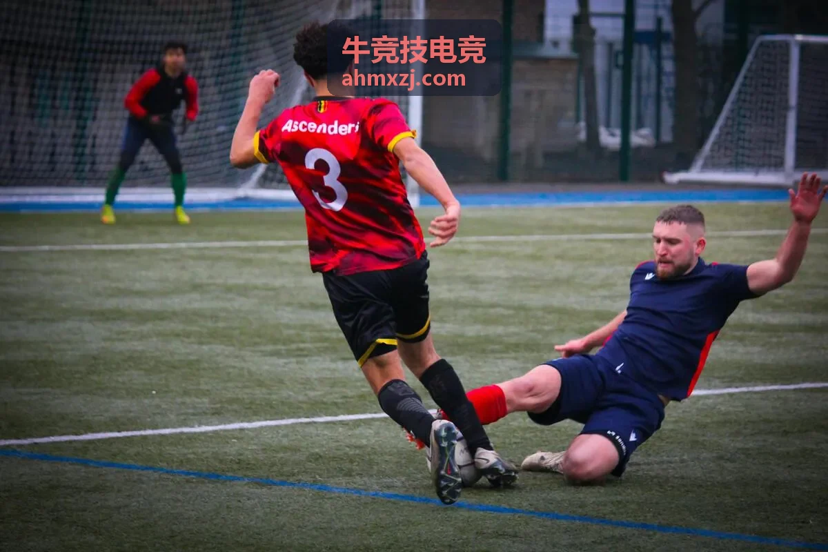 牛竞技训练方案定制